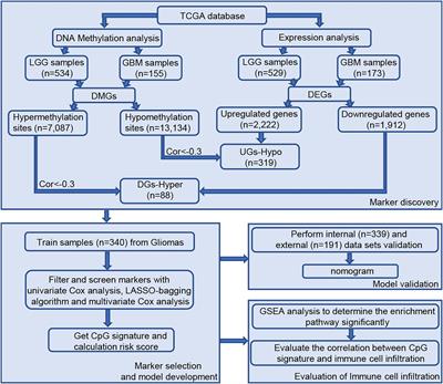 Integrative Analysis of DNA Methylation and Transcriptome Identifies a Predictive Epigenetic Signature Associated With Immune Infiltration in Gliomas